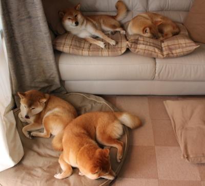 开云备用-NBA球员赛季表现亮点总结，nba球员赛季表现亮点总结图