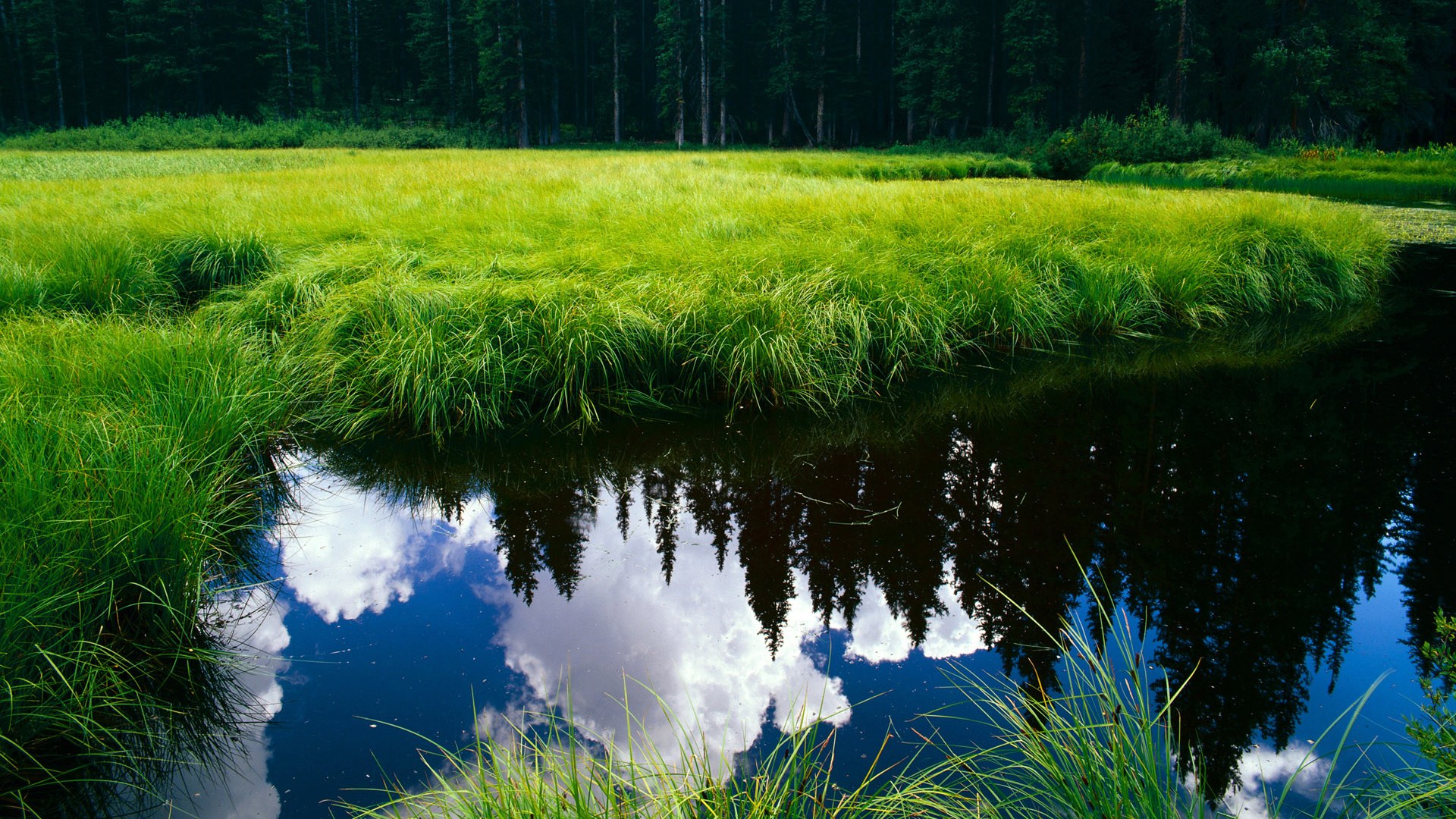 开云体育app网页版安全-恩比德双手暴扣点燃七六人主场，恩比德生涯首秀