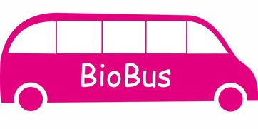 开云真人体育娱乐-意甲联赛的绿色可持续发展，意甲联赛啥意思